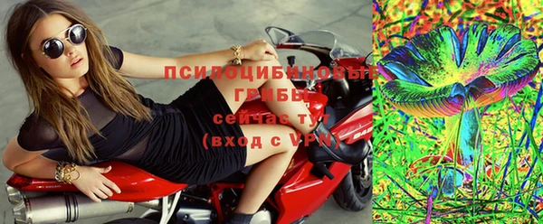 PSILOCYBIN Абдулино