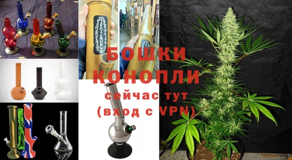 PSILOCYBIN Абдулино