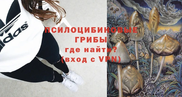 PSILOCYBIN Абдулино