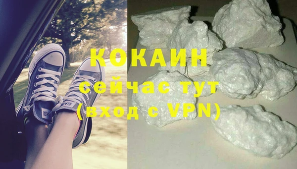 прущие крисы Абаза